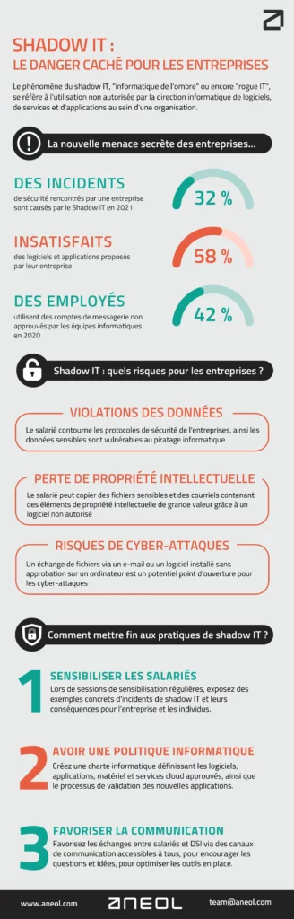 infographie-shadow-it